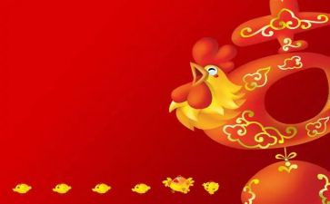 抓鸡蛋活动方案7篇