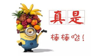 嘉奖事迹材料500字8篇