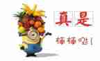 嘉奖事迹材料500字8篇