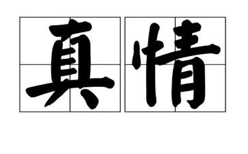 真情的作文优秀5篇
