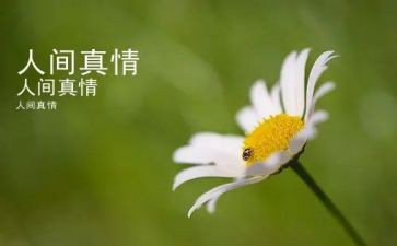 写感受真情的作文6篇