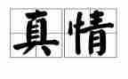 真情的作文优秀5篇