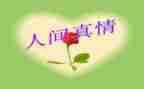真情流露的作文500字6篇
