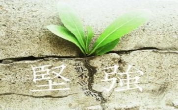 坚强演讲稿推荐5篇