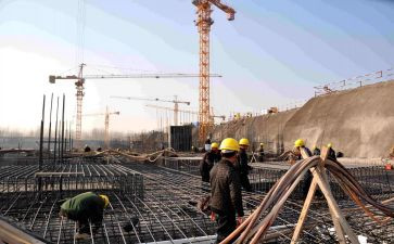 法治政府建设情况工作报告5篇