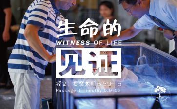 2024我见证作文参考8篇
