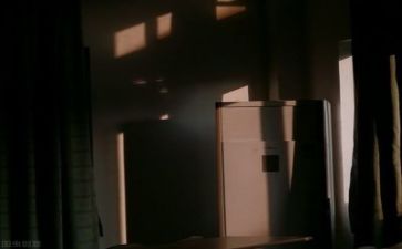 教师个人总结+述职报告5篇
