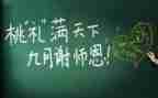 教师135心得体会最新5篇