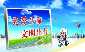 幼儿园交通安全活动方案最新8篇