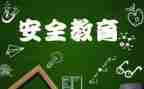 网络教育安全心得体会8篇