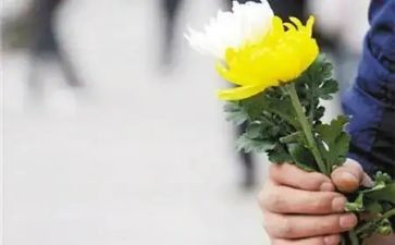 2024清明节祭奠英烈活动方案7篇