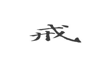 以案为戒心得体会范文5篇