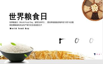 青春节粮活动总结6篇