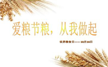 青春节粮活动总结模板8篇