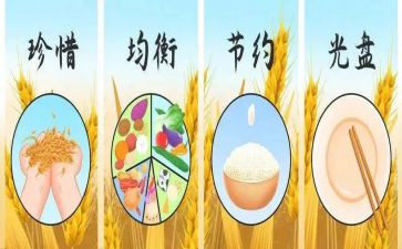 爱粮节粮宣传活动总结5篇