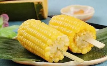 收玉米的作文5篇