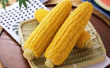 玉米购销合同8篇