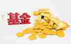 基金自查报告推荐6篇