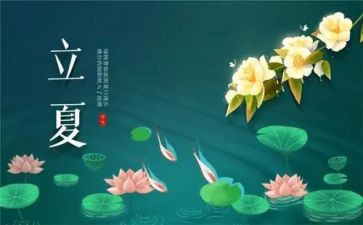 二十四节气教案通用8篇