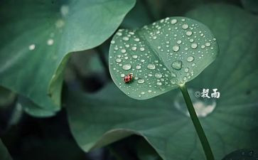 幼儿园小班节气教案5篇