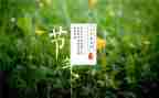 节气歌大班教案通用5篇