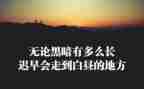 回信精神心得体会800字5篇