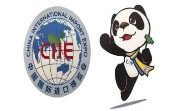 2023进口博览会心得体会7篇
