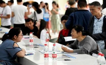就业指导心得体会最新6篇