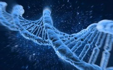传承红色基因争做强国少年活动方案5篇
