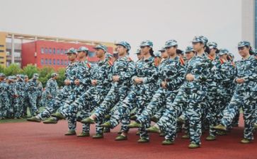 军训的心得体会作文800精选7篇