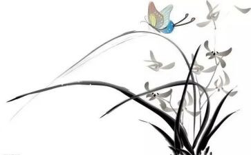 君子之道费而隐读后感7篇