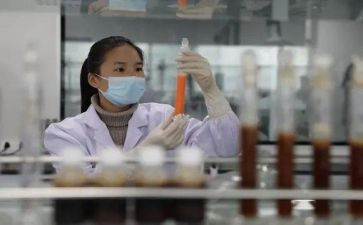 软件开发员述职报告8篇