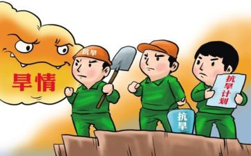 村防汛抗旱工作方案模板6篇
