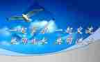 语文课改心得体会参考8篇