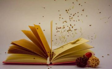 一本课外书演讲稿精选7篇