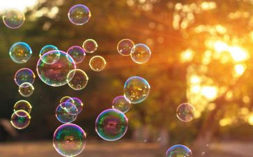 一年级科学教学计划8篇