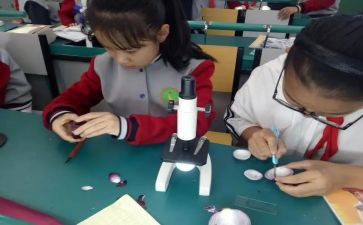 小学一年级科学课教学计划8篇