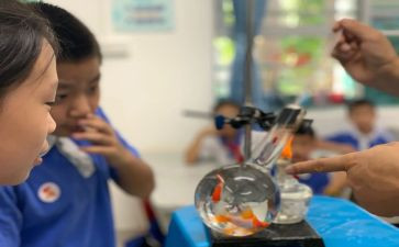 小学科学课教学反思5篇