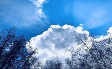 空气质量的调查报告6篇