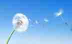 空气污染调查报告8篇