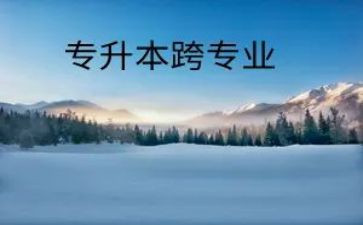 跨专业申请书精选5篇