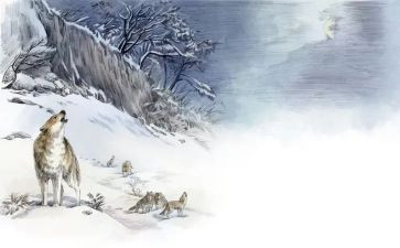 狼王梦读书心得体会8篇