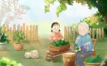我的姥姥作文精选8篇