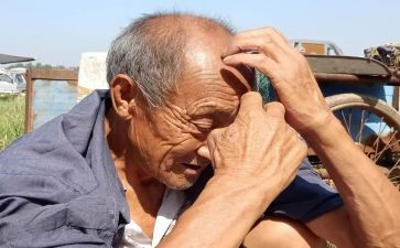 老人院心得体会参考5篇
