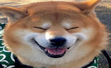 我乐在其中作文7篇