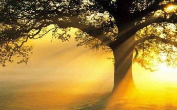 作文魅力500字参考8篇