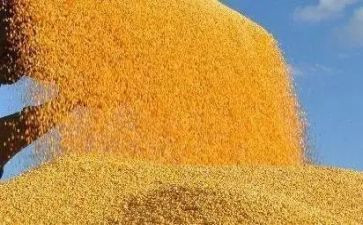 粮食税的心得体会最新5篇