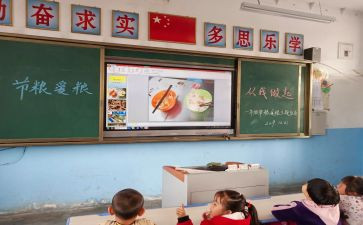 学校粮食节约活动总结5篇