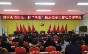 对两委工作总结8篇
