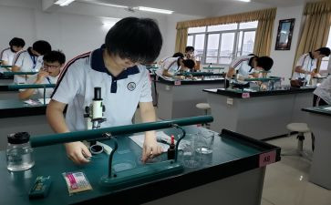 理化组工作计划优质6篇